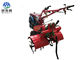 Motore diesel del mini di agricoltura delle attrezzature agricole attrezzo rosso di potere 5,67 chilowatt fornitore